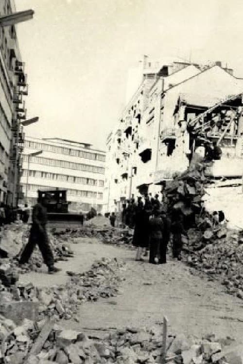 Skopje, July 26, 1963 backdrop