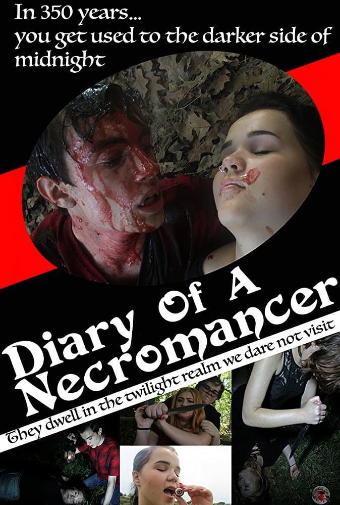 Diary of a Necromancer backdrop