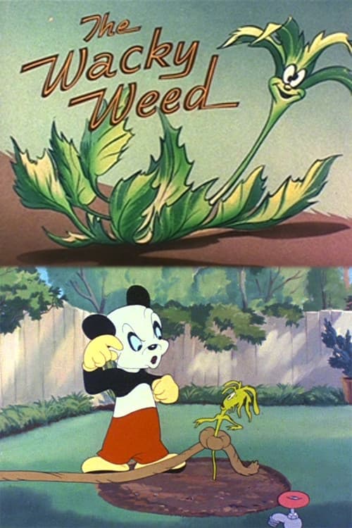 The Wacky Weed backdrop