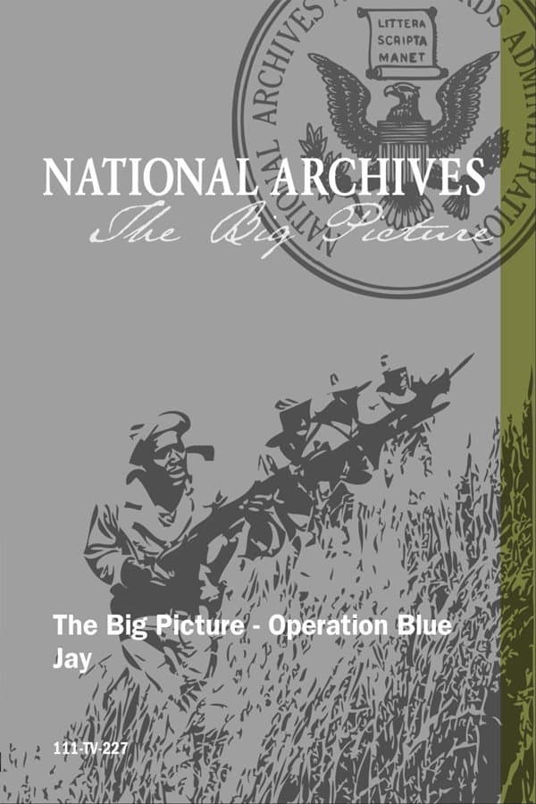 Operation Blue Jay backdrop