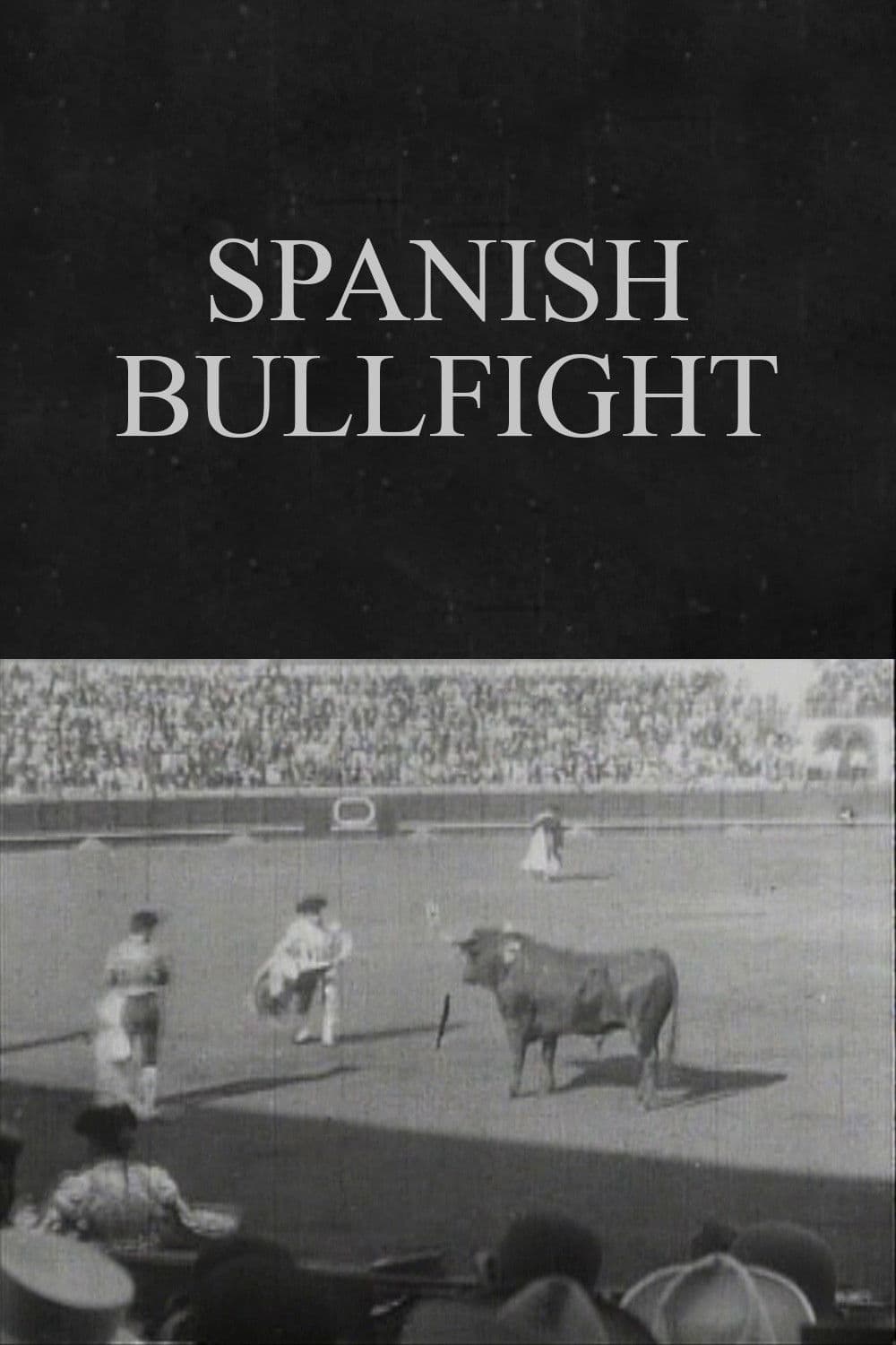 Spanish Bullfight backdrop