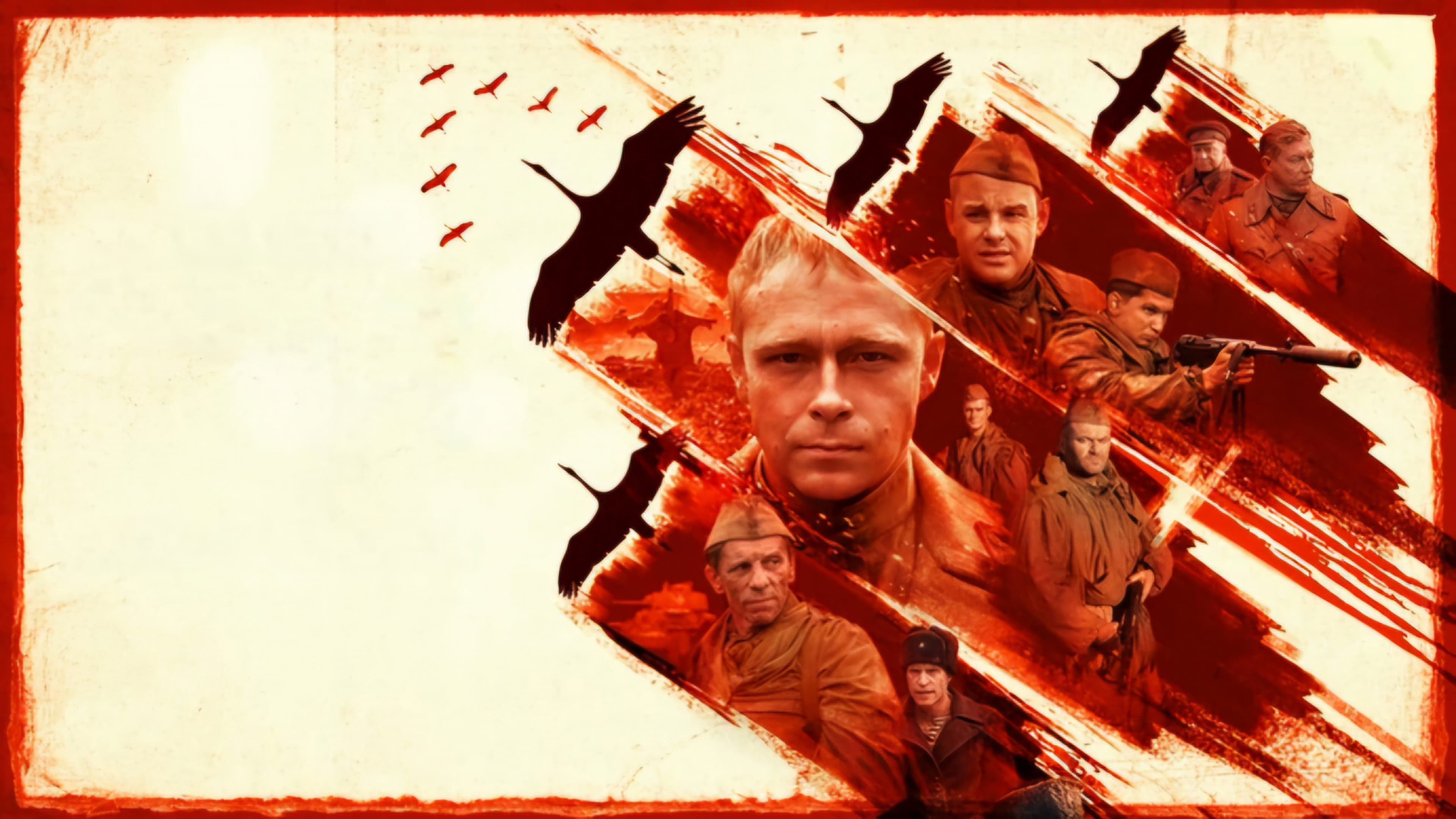 Call Sign «Cranes» backdrop