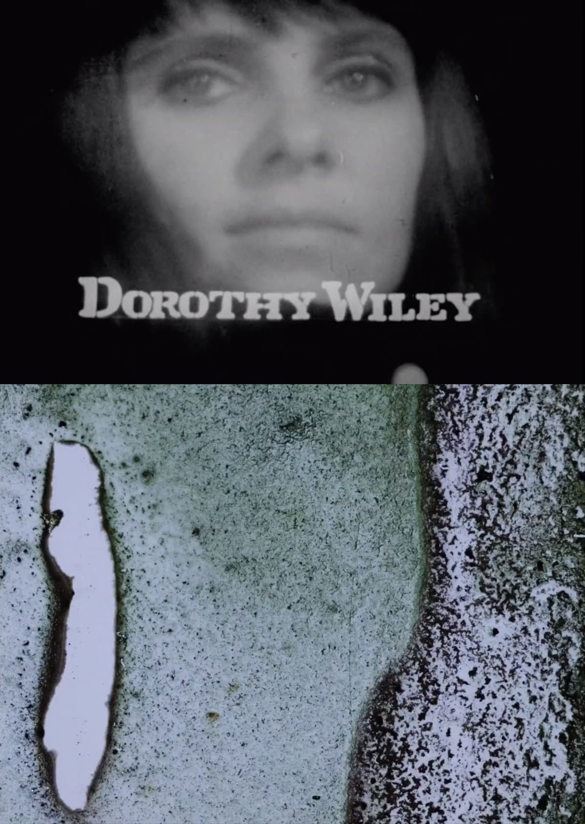 Dorothy backdrop