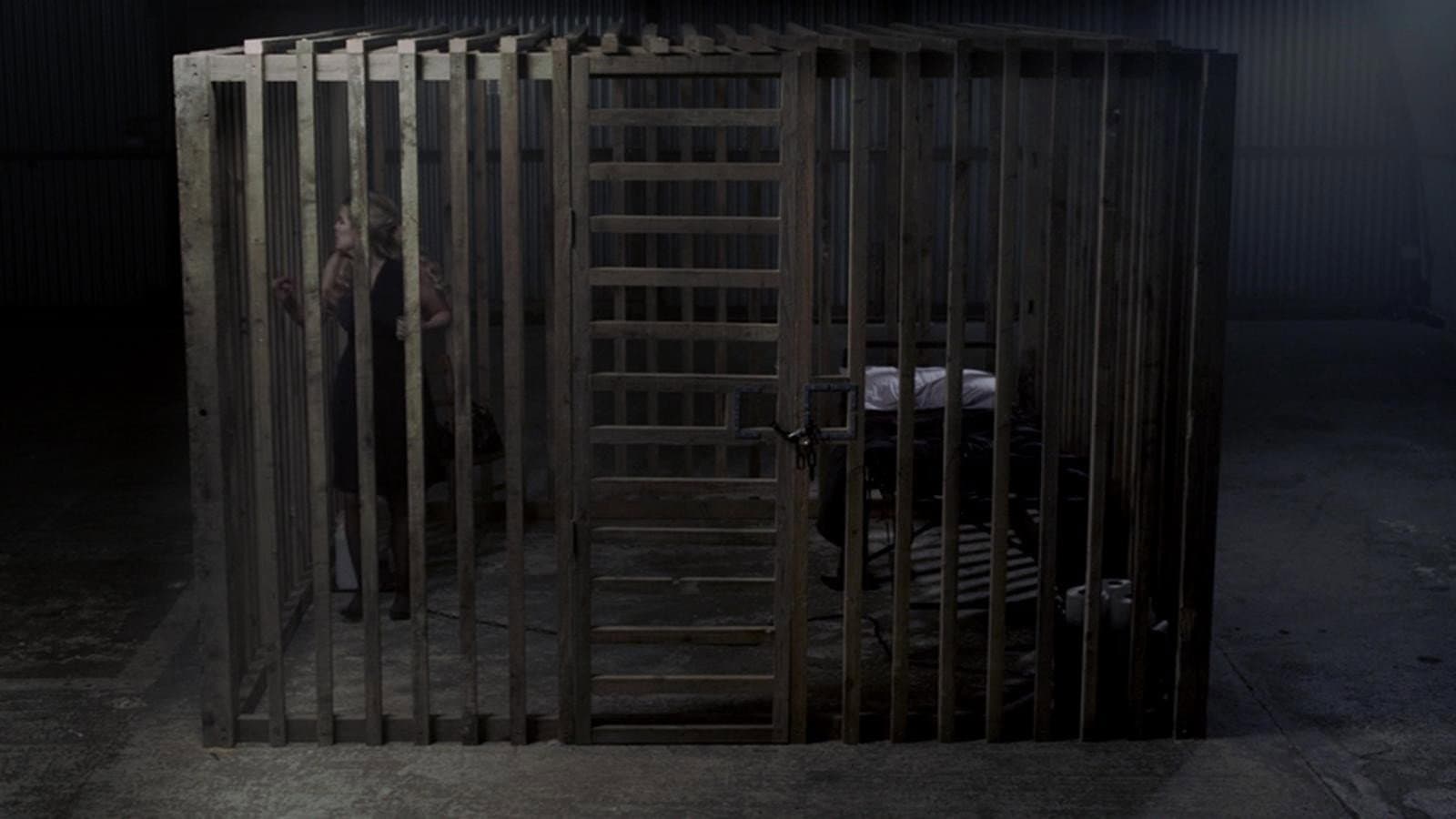 Cage backdrop