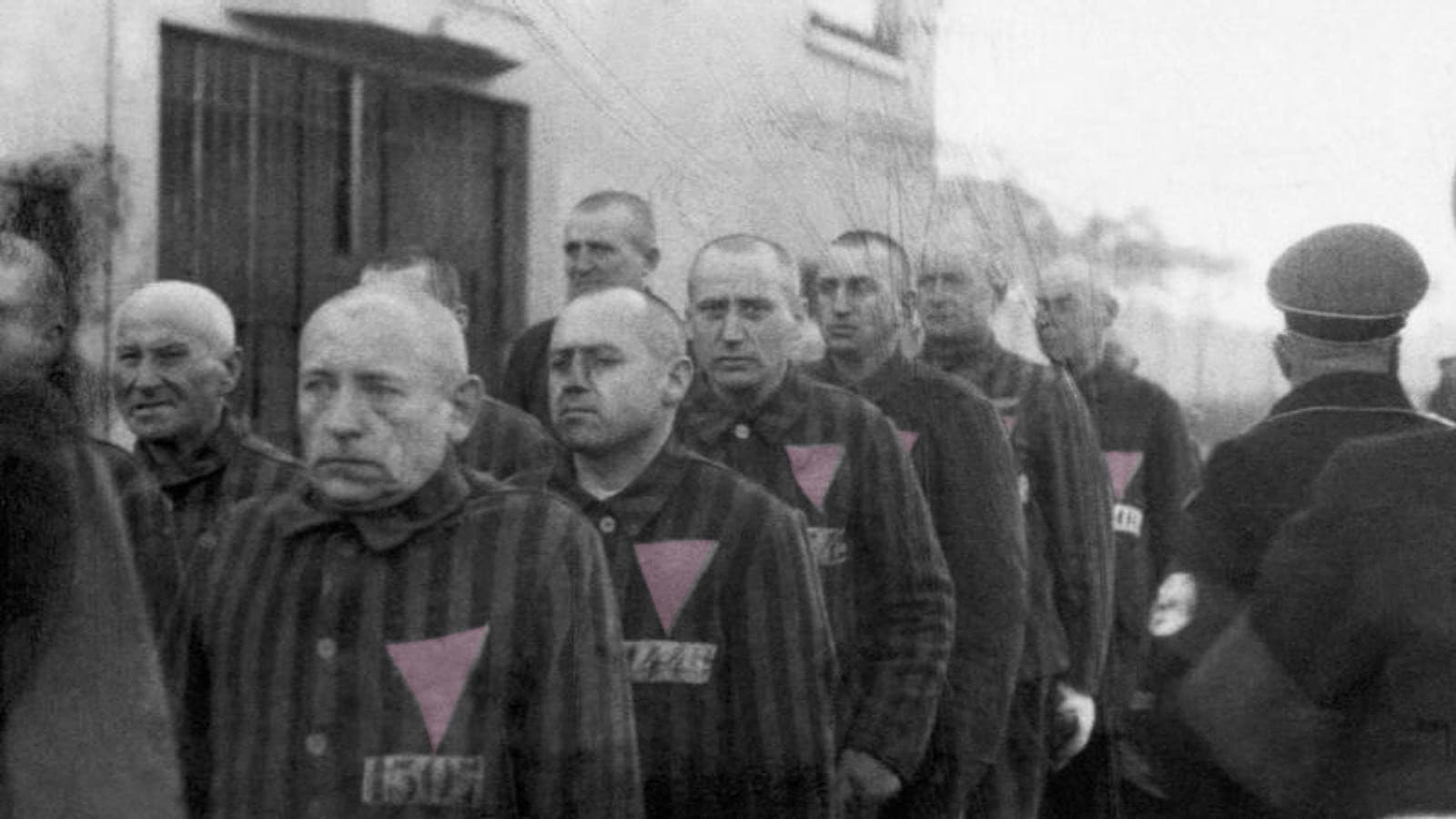 The Pink Triangle and the Nazi Cure for Homosexuality backdrop