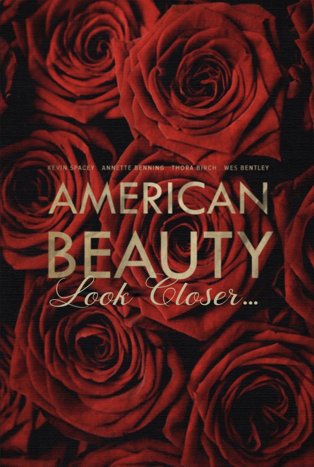 American Beauty: Look Closer... backdrop