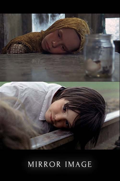 Mirror Image - Andrei Tarkovsky and Víctor Erice backdrop