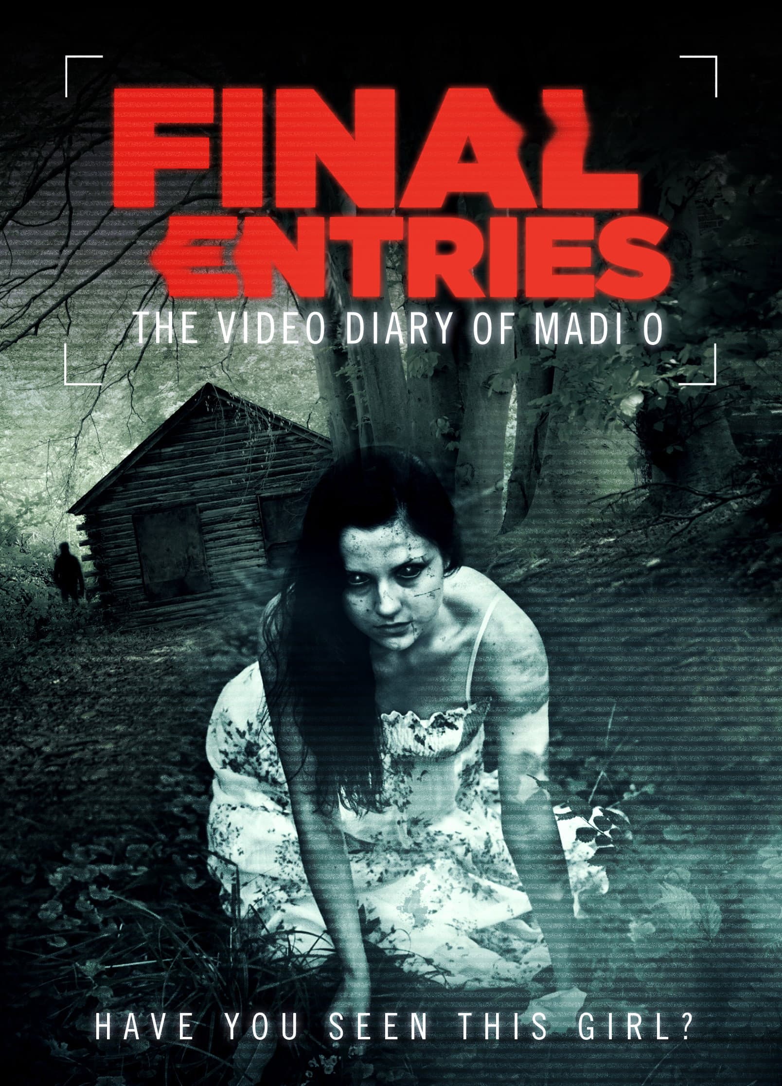 The Video Diary of Madi O, the Final Entries backdrop