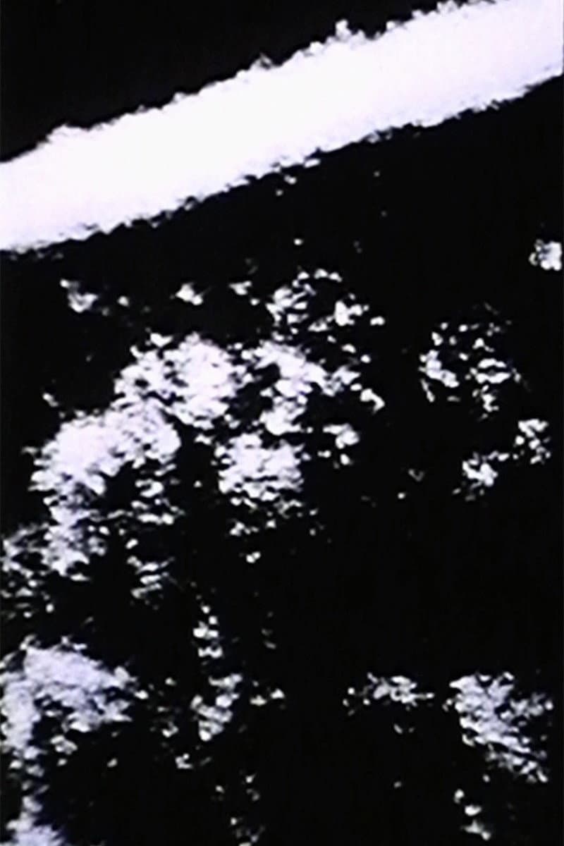Bullet backdrop