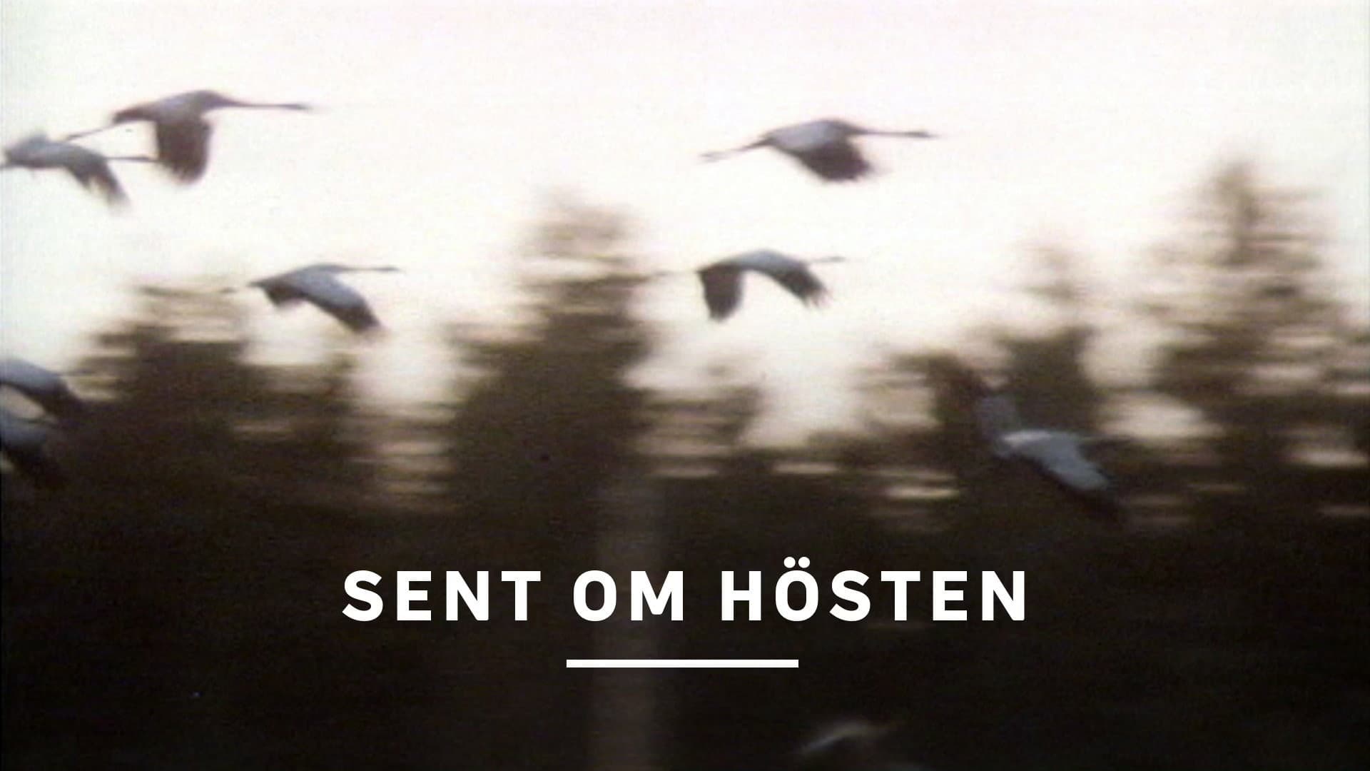 Sent om hösten backdrop