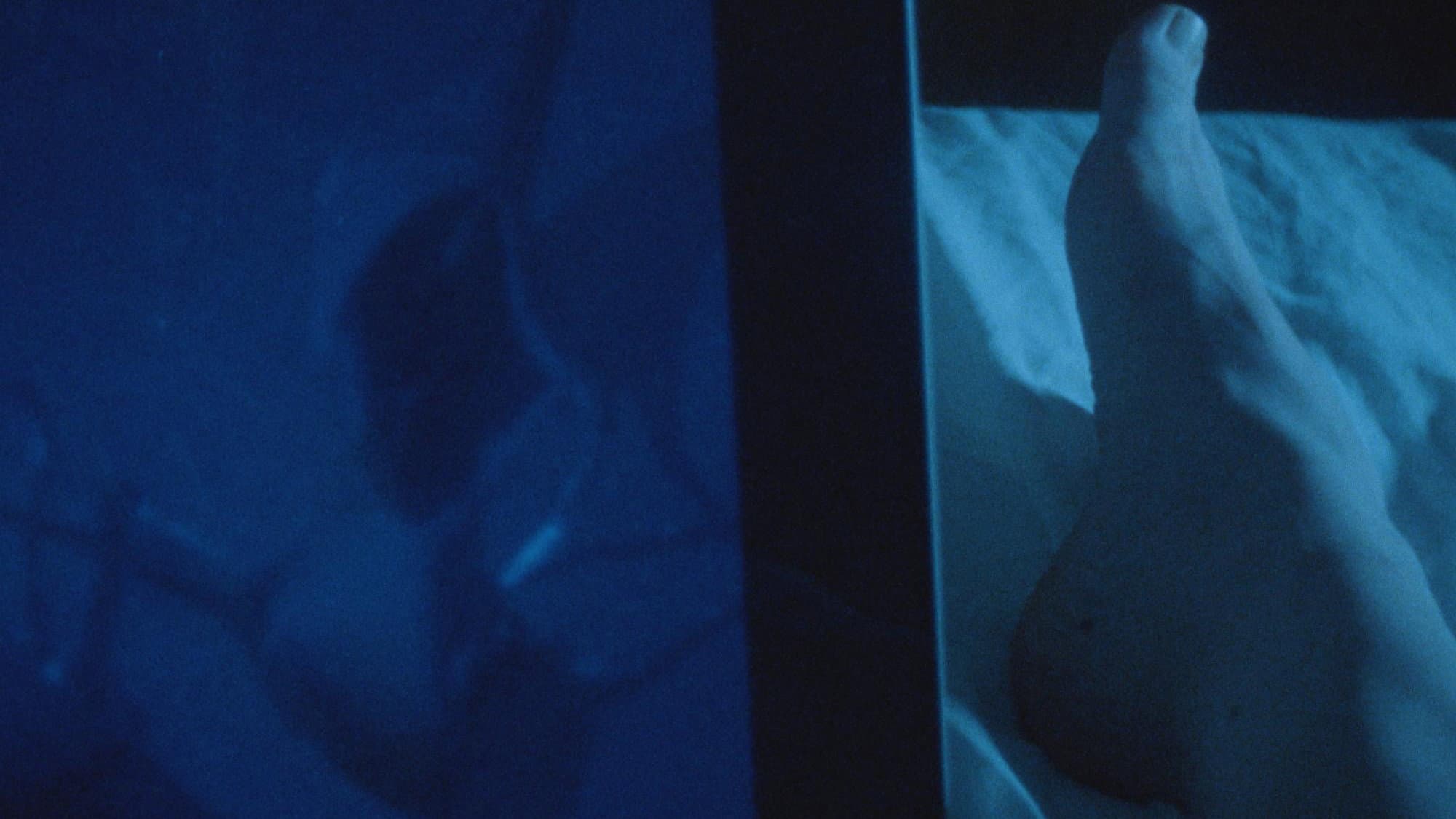 Blue Light Blue backdrop