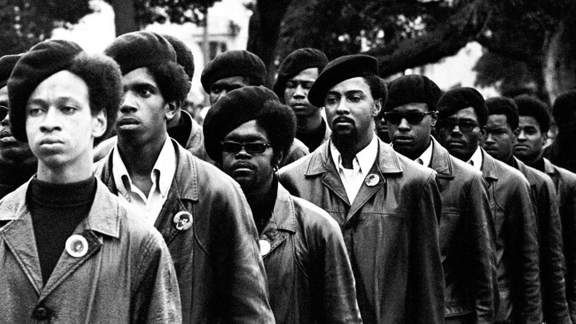 Black Panthers backdrop
