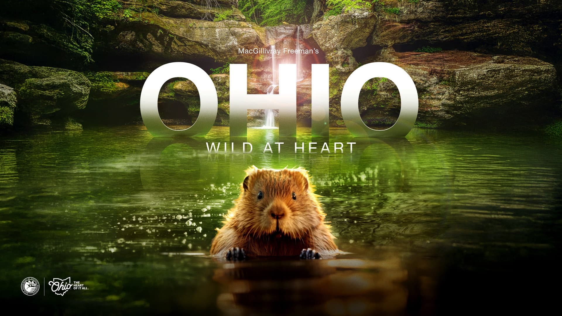 Ohio: Wild at Heart backdrop