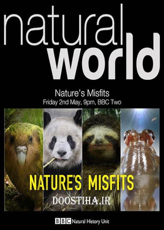 Nature's Misfits backdrop