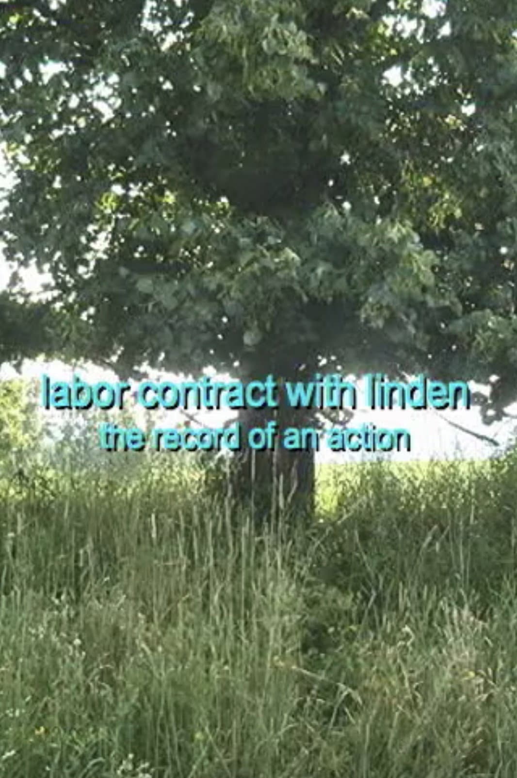 Labor Contract with Linden Tree. The record of an action backdrop
