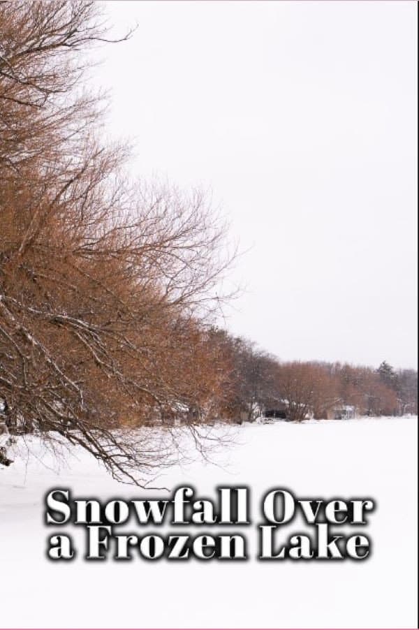 Snowfall Over a Frozen Lake backdrop