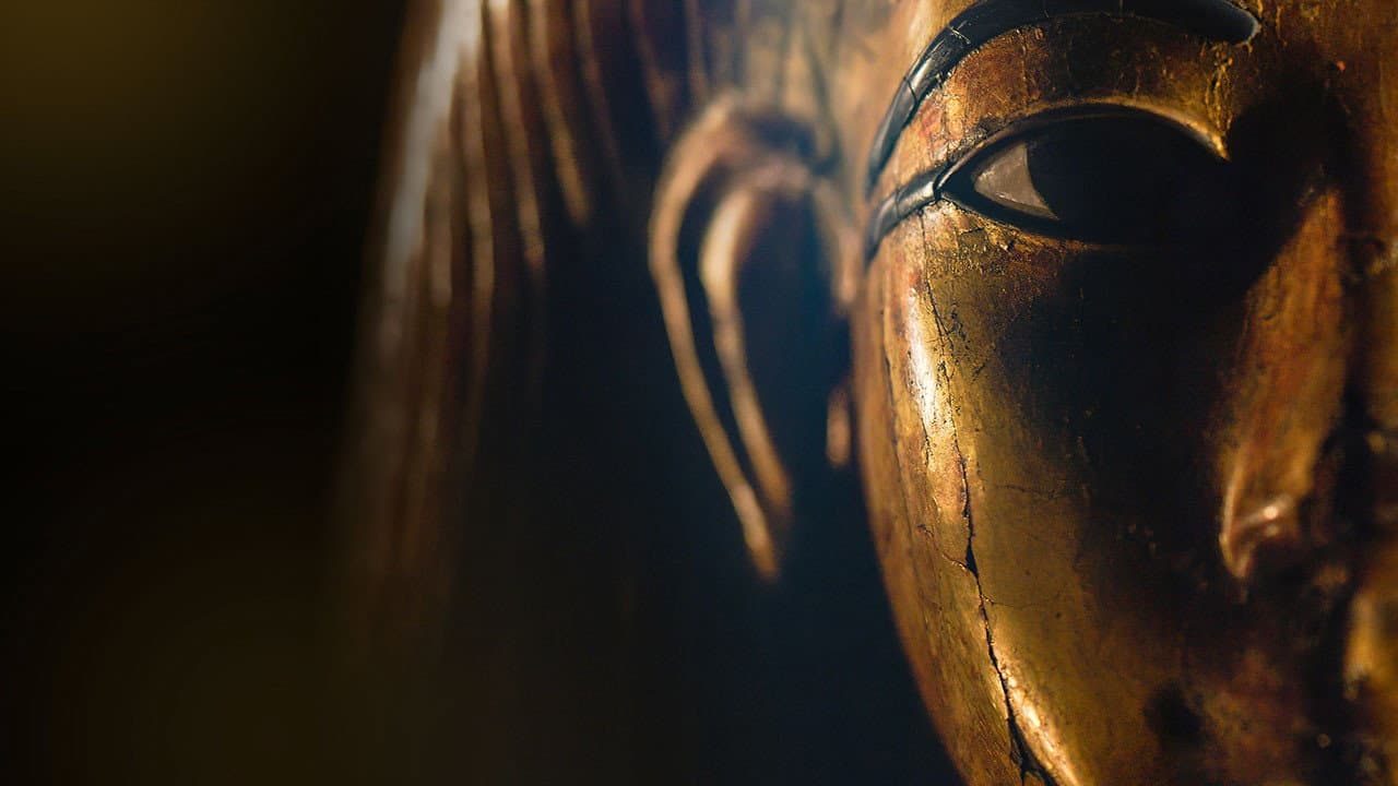 The Immortals: The Wonder of the Museo Egizio backdrop