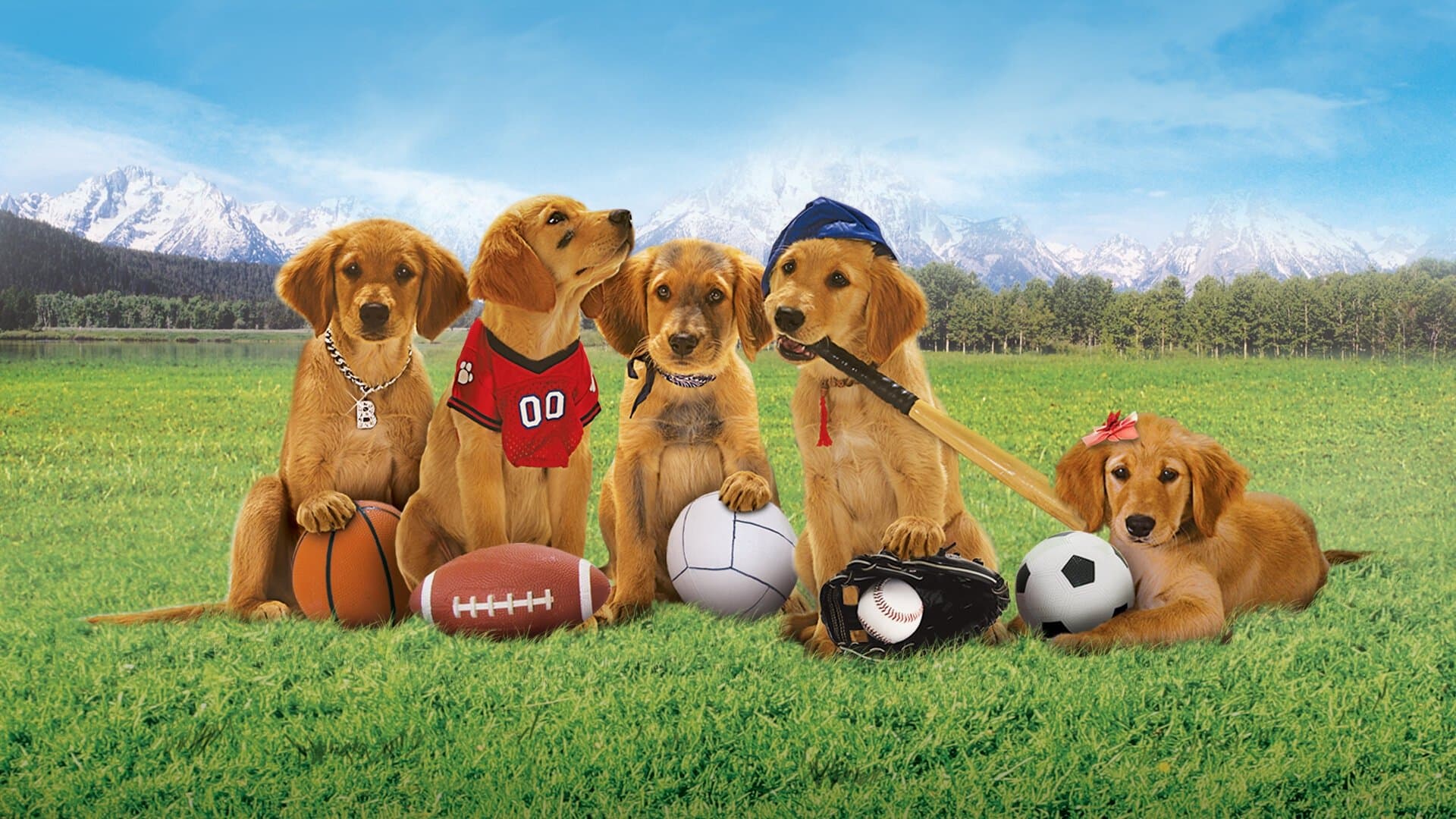 Air Buddies backdrop