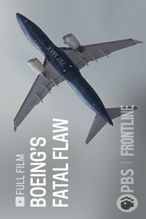 Boeing's Fatal Flaw backdrop