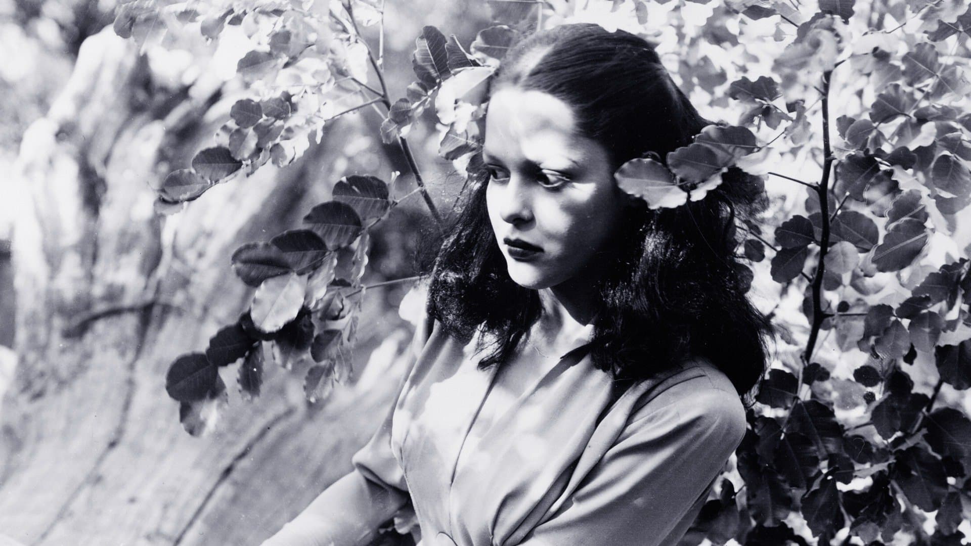 Jungle Woman backdrop