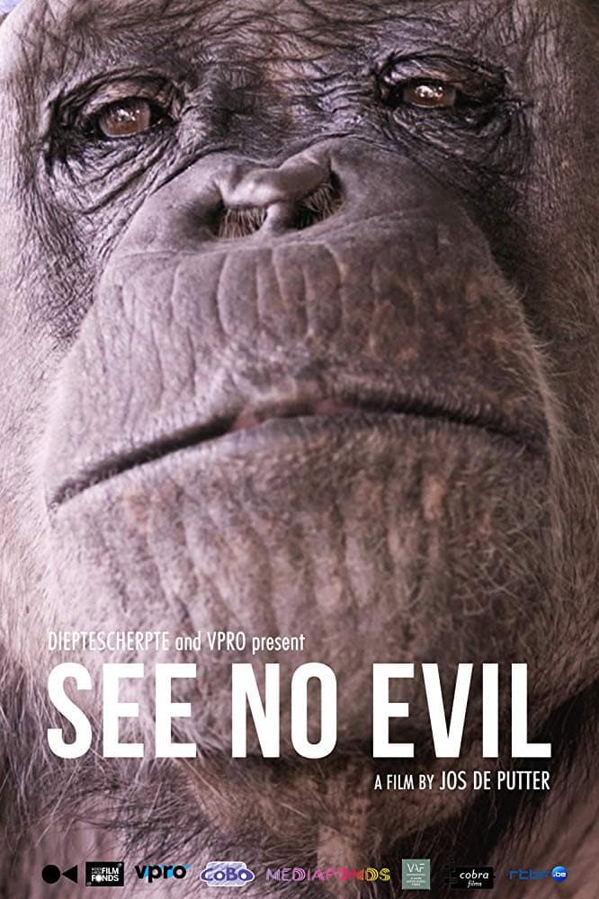 See No Evil backdrop