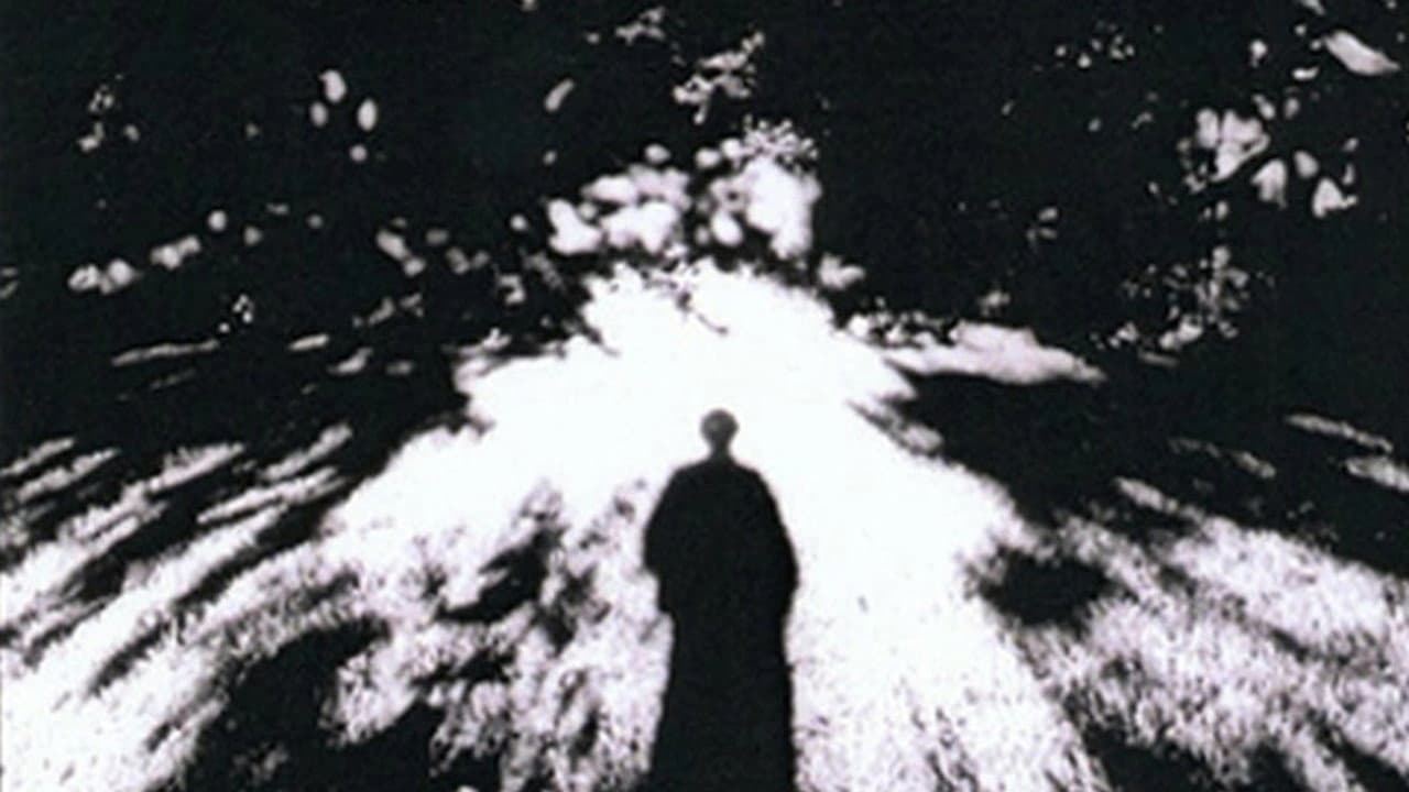 Imaginary Light backdrop