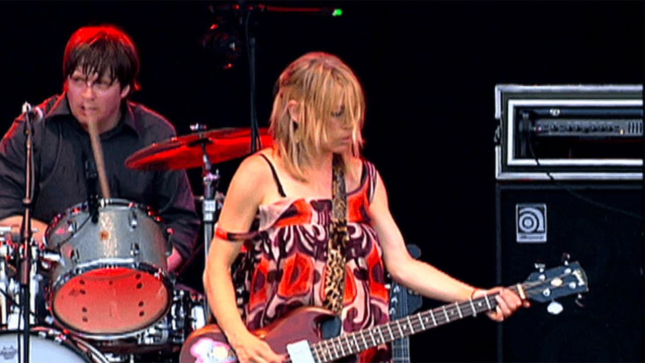 Sonic Youth: Live at Eurockéennes backdrop