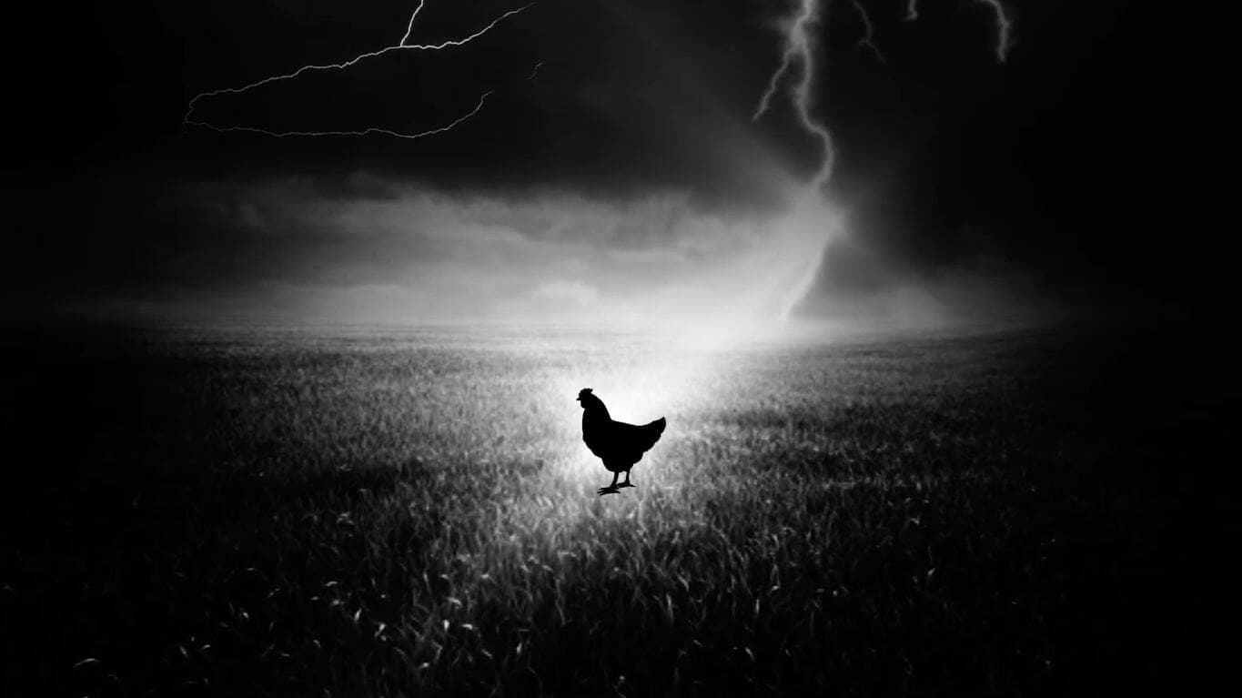 Holy Hen backdrop