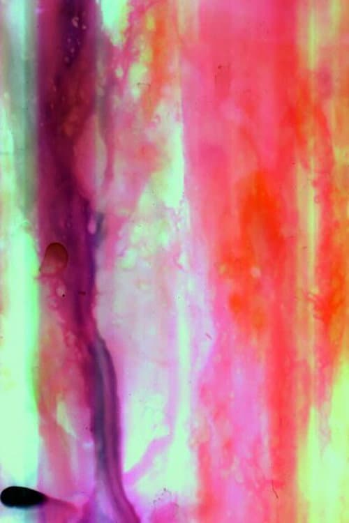 Jam Licking & Sledgehammered backdrop