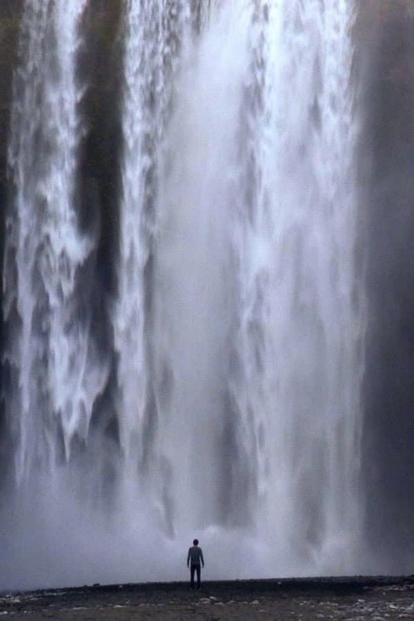 In Landscape's Movement backdrop