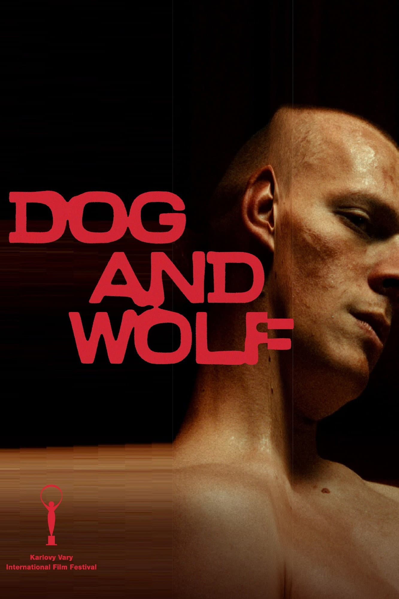 Dog and Wolf backdrop