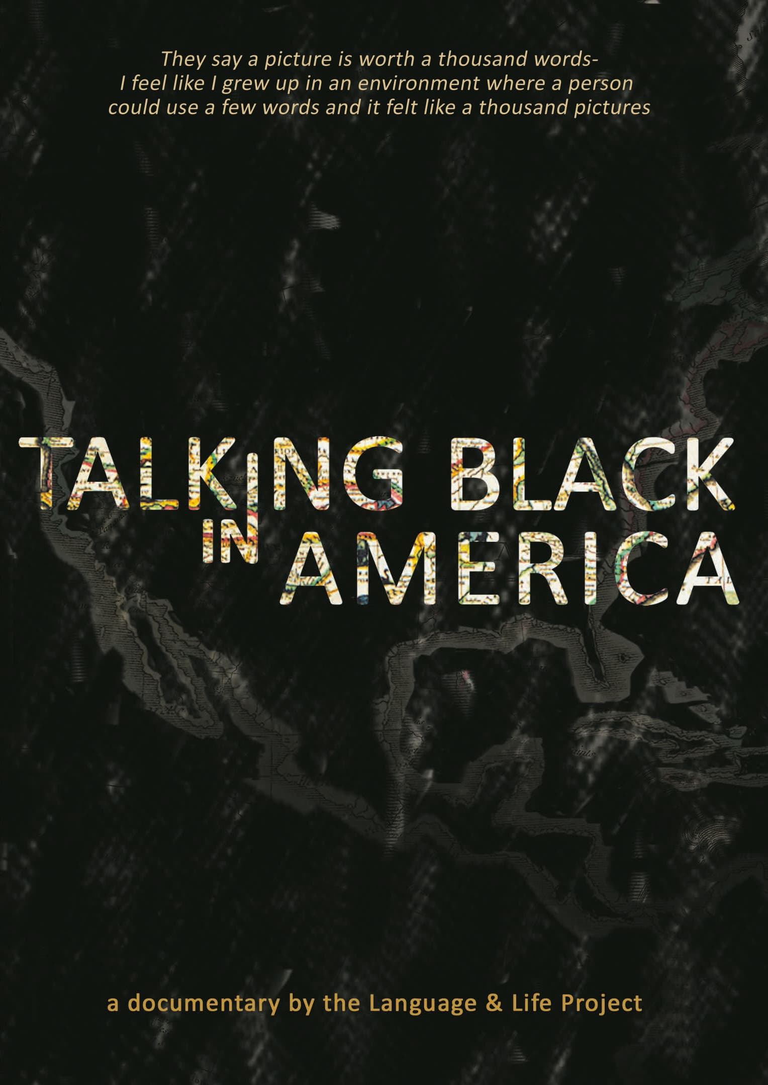 Talking Black in America backdrop