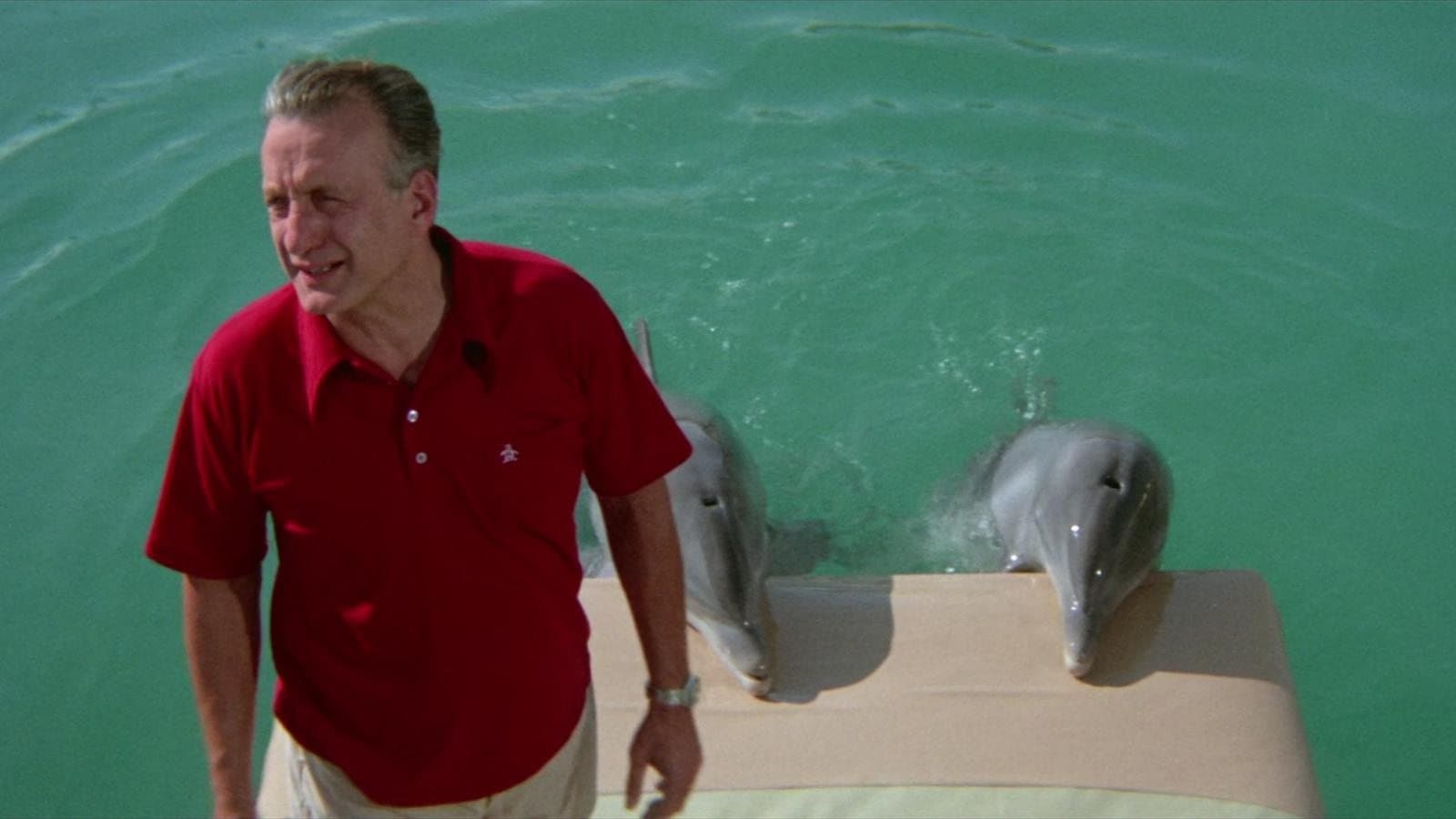 The Day of the Dolphin backdrop