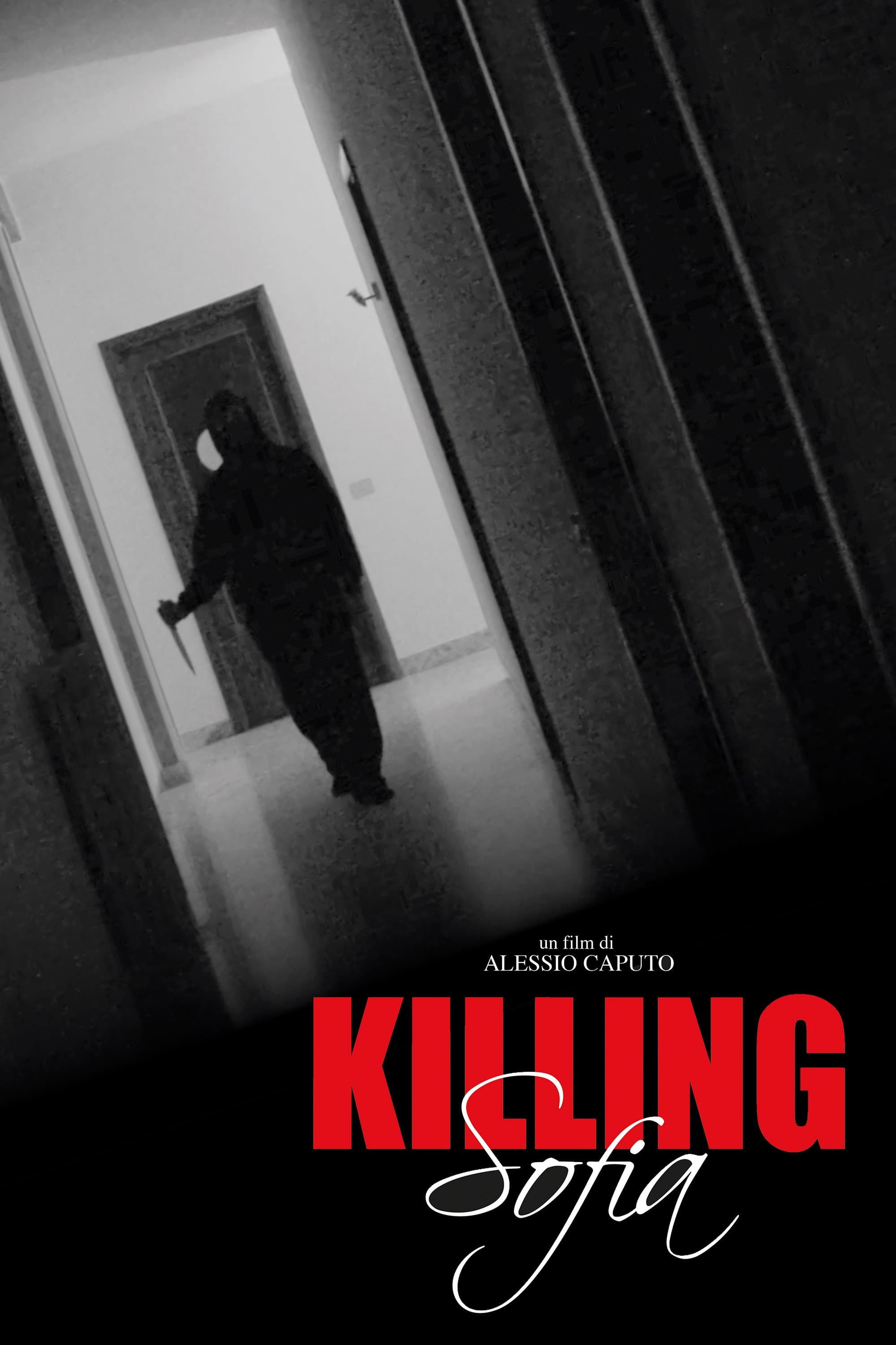 Killing Sofia backdrop