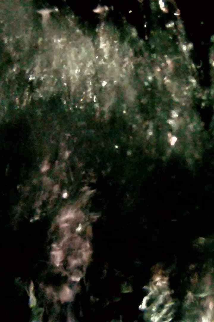 He Maketh a Path to Shine After Him; One Would Think the Deep to Be Hoary backdrop
