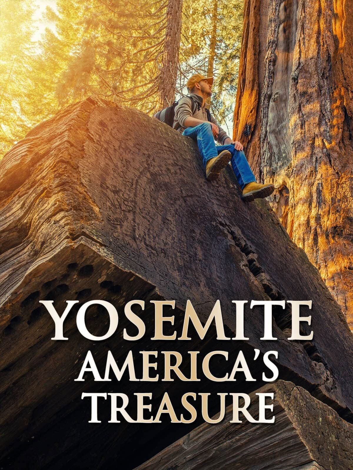 Yosemite: America's Treasure backdrop