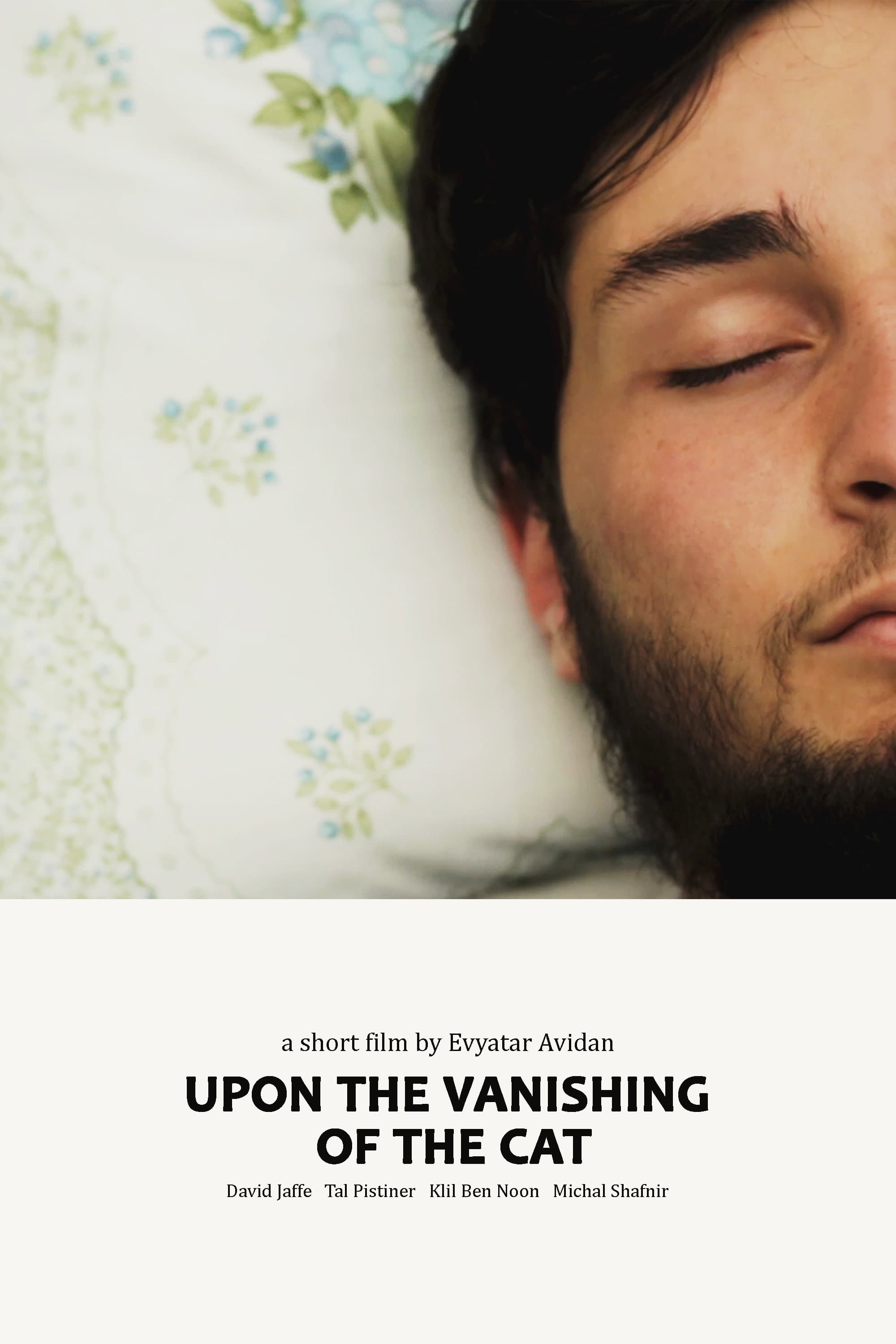 Upon the Vanishing of the Cat backdrop