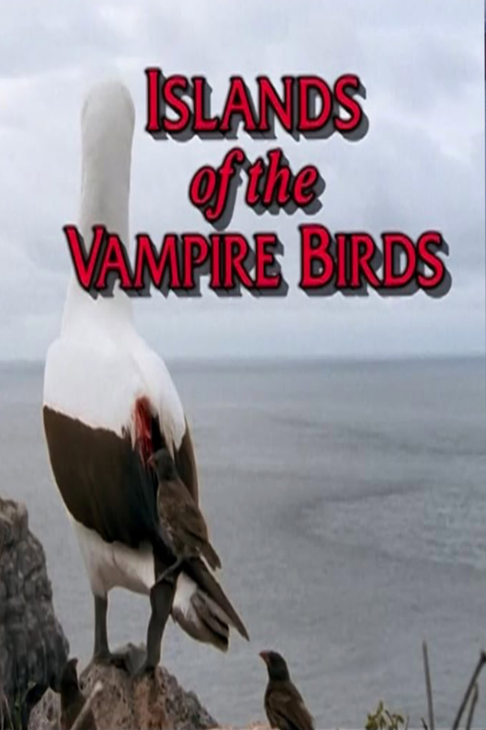 Islands of the Vampire Birds backdrop