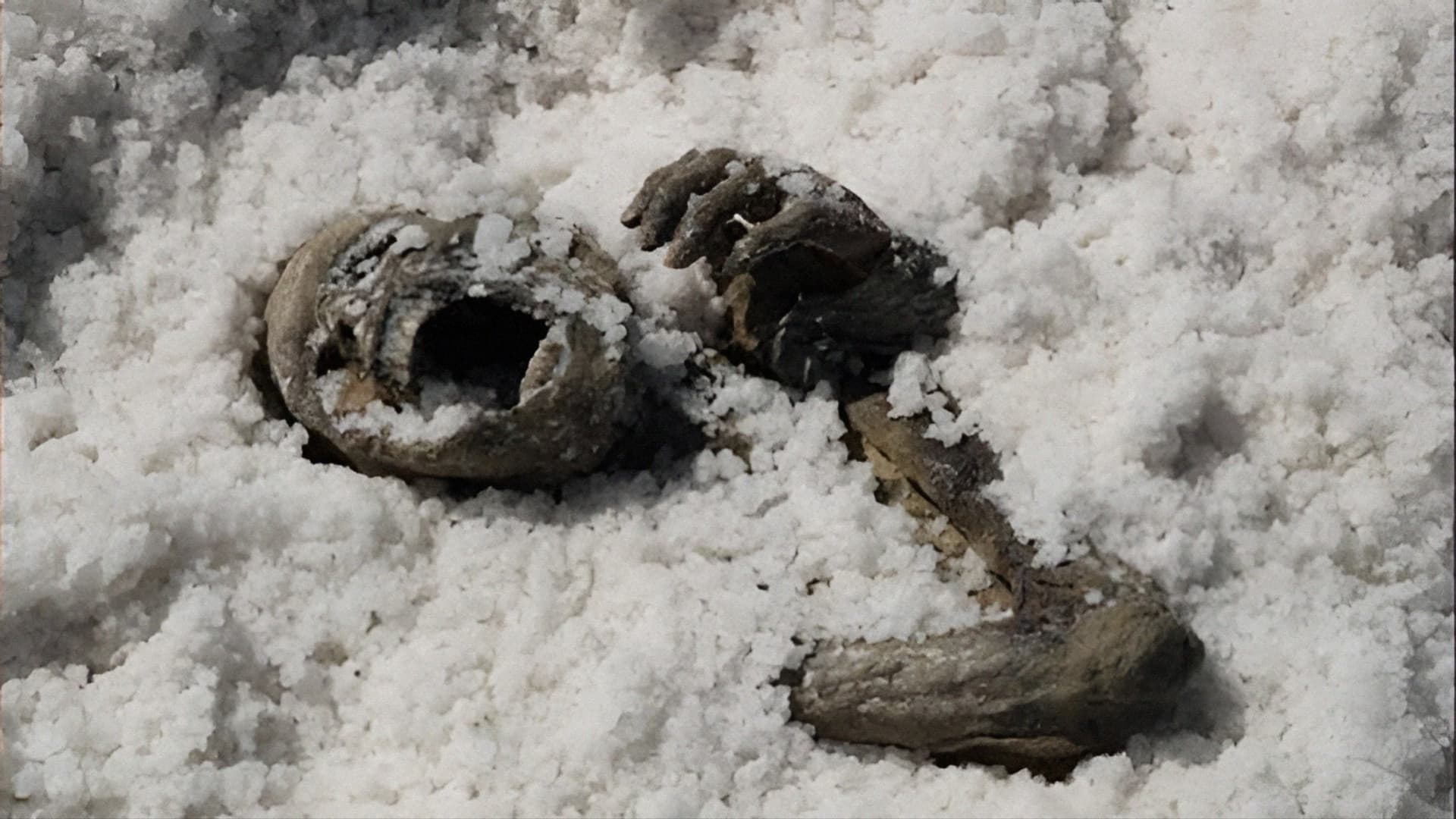 Under the Salt backdrop
