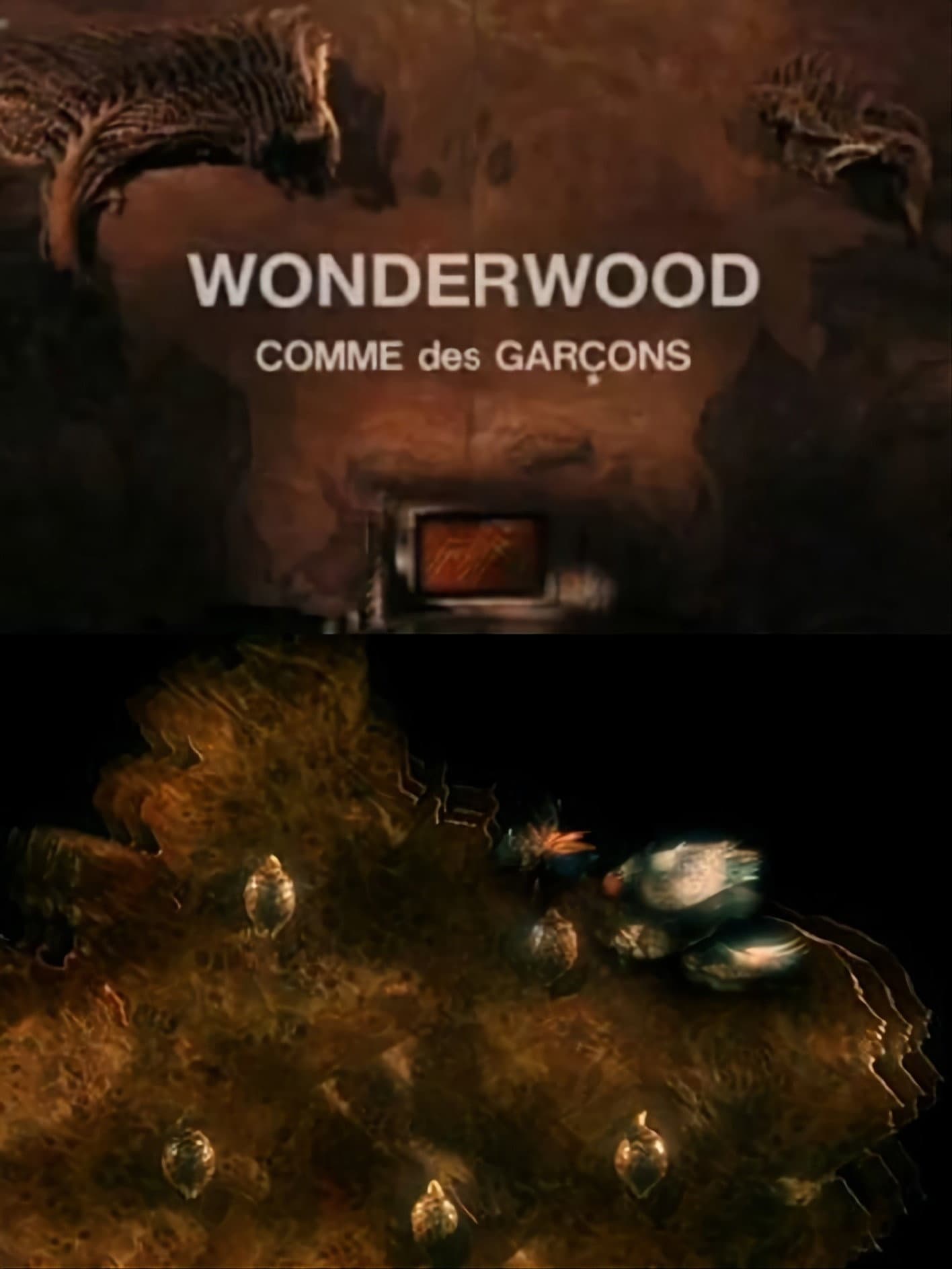 Wonderwood: Comme des garçons backdrop