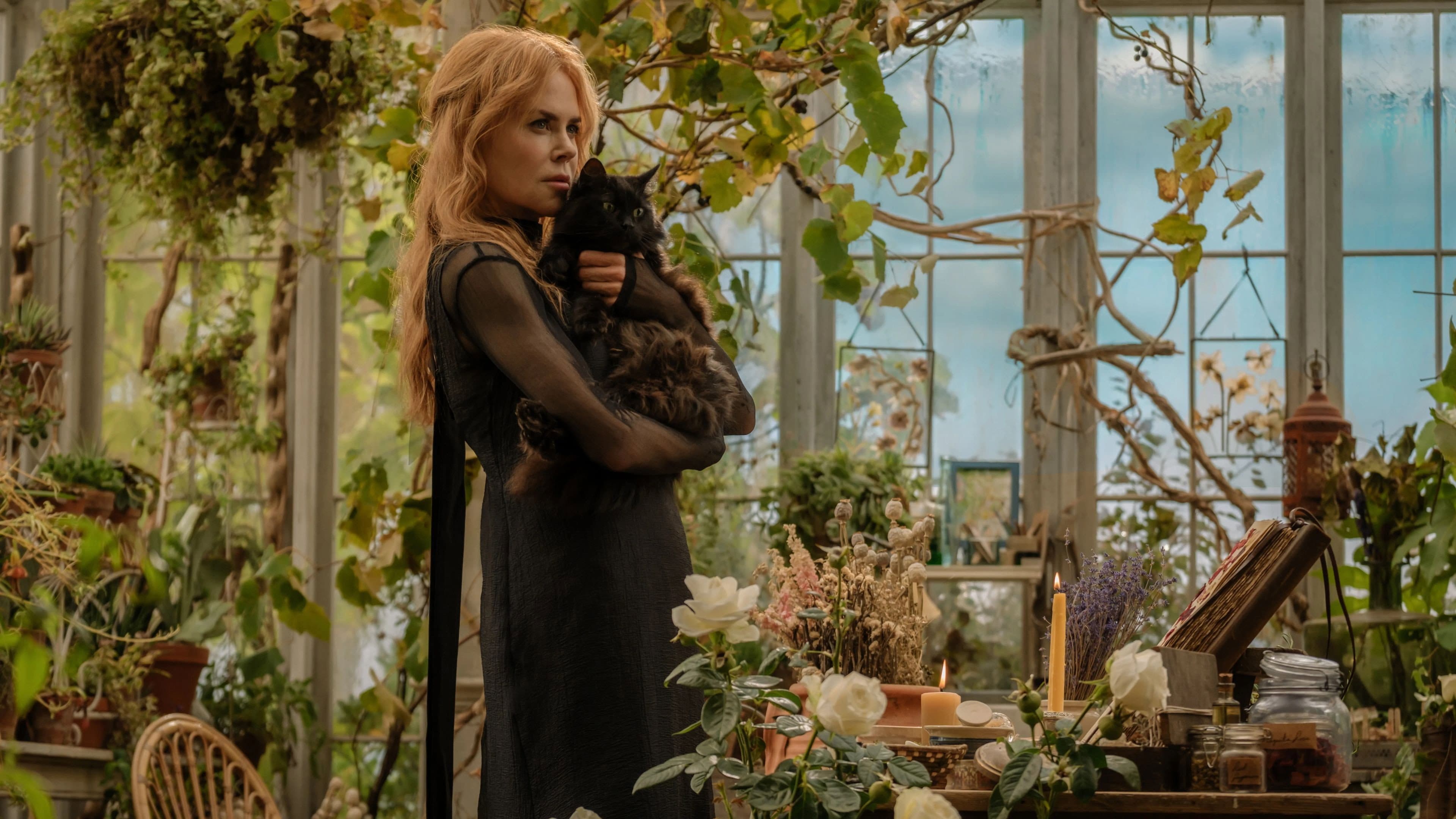 Practical Magic 2 backdrop