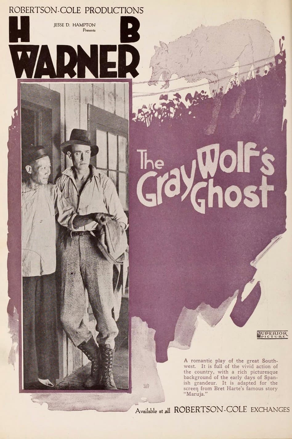 The Gray Wolf's Ghost backdrop