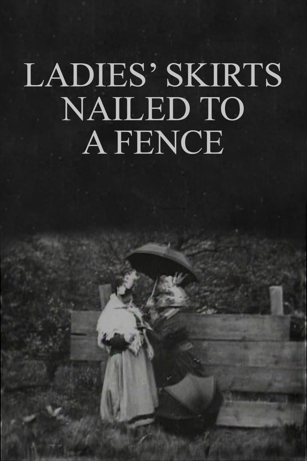 Ladies' Skirts Nailed to a Fence backdrop