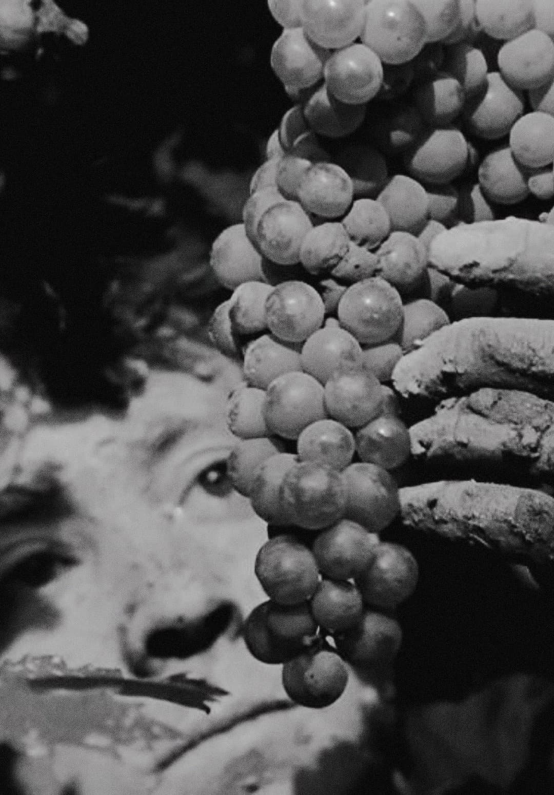 Galician Caress (of Clay) backdrop