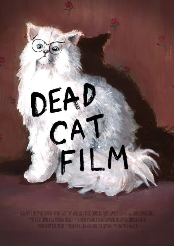 Dead Cat Film backdrop
