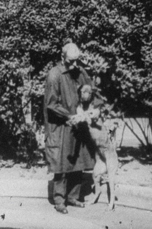 Experimental Treatment of a Hemorrhage in a Dog backdrop