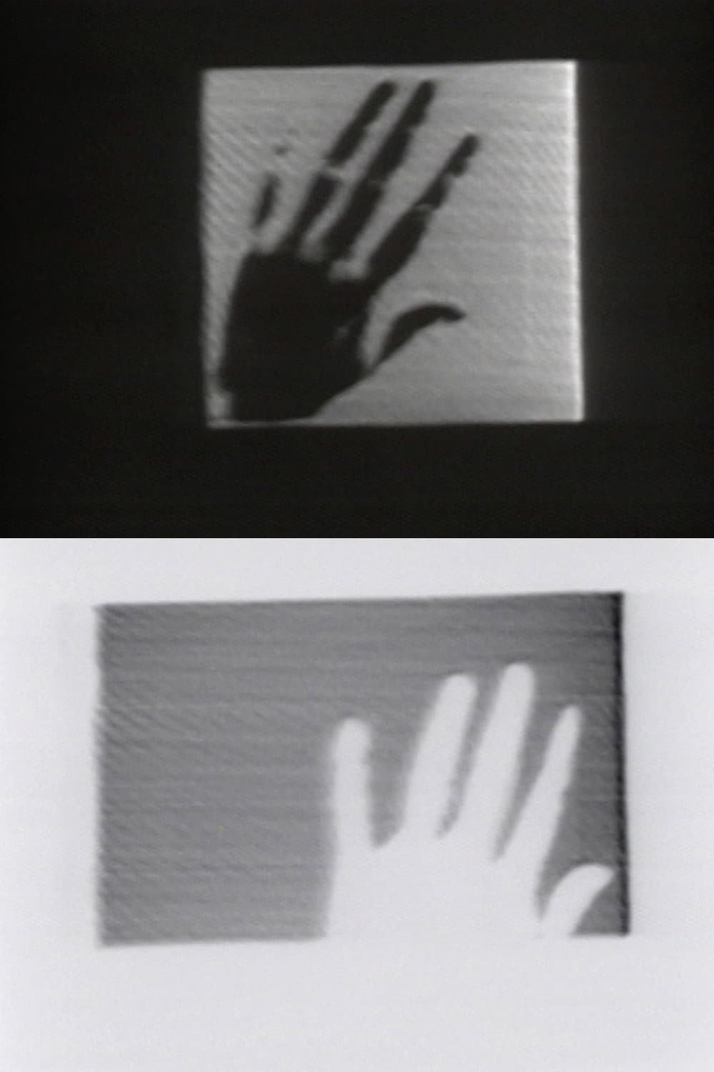 The Left Hand of Darkness backdrop