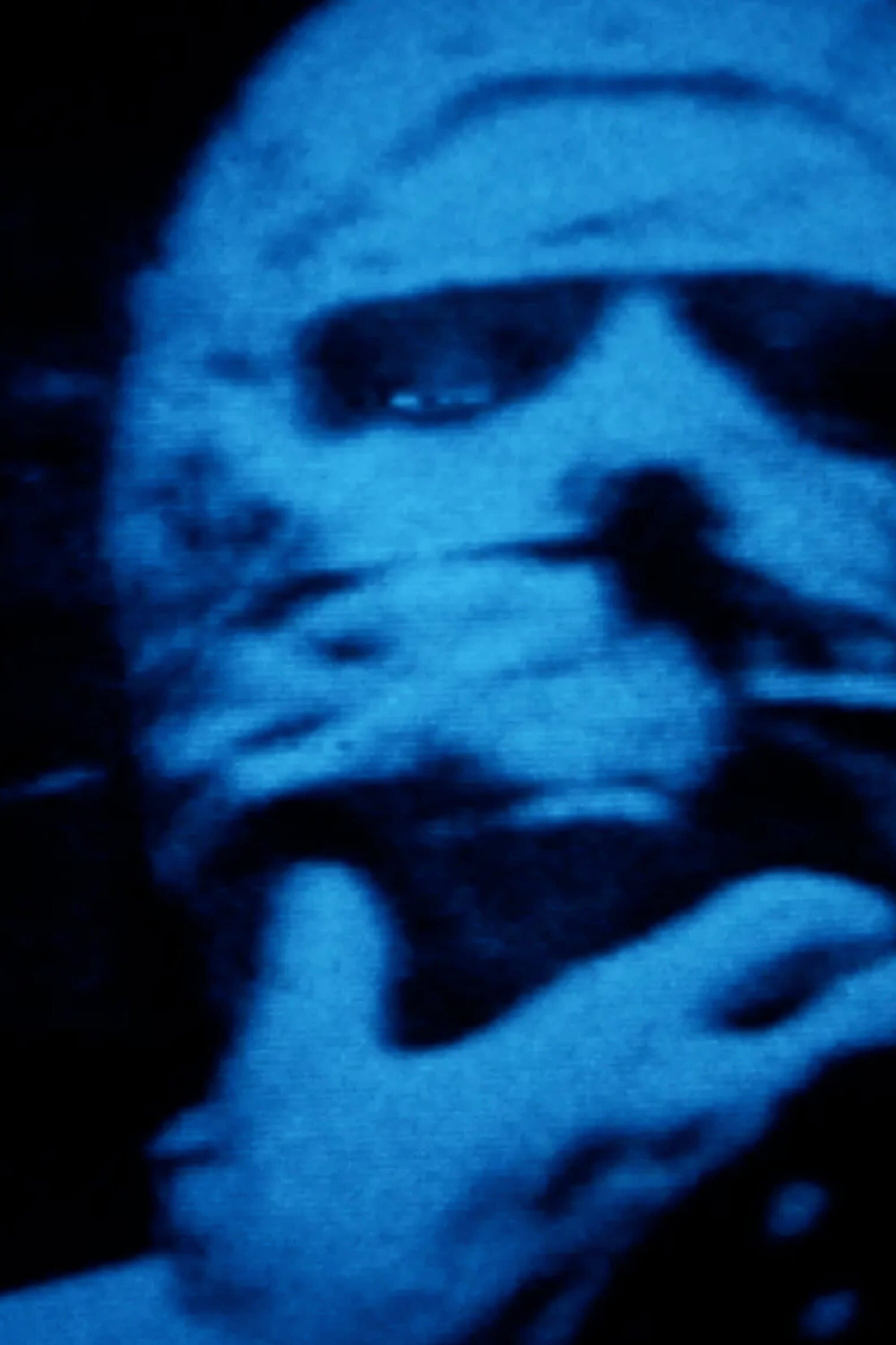 La novia de Frankenstein backdrop