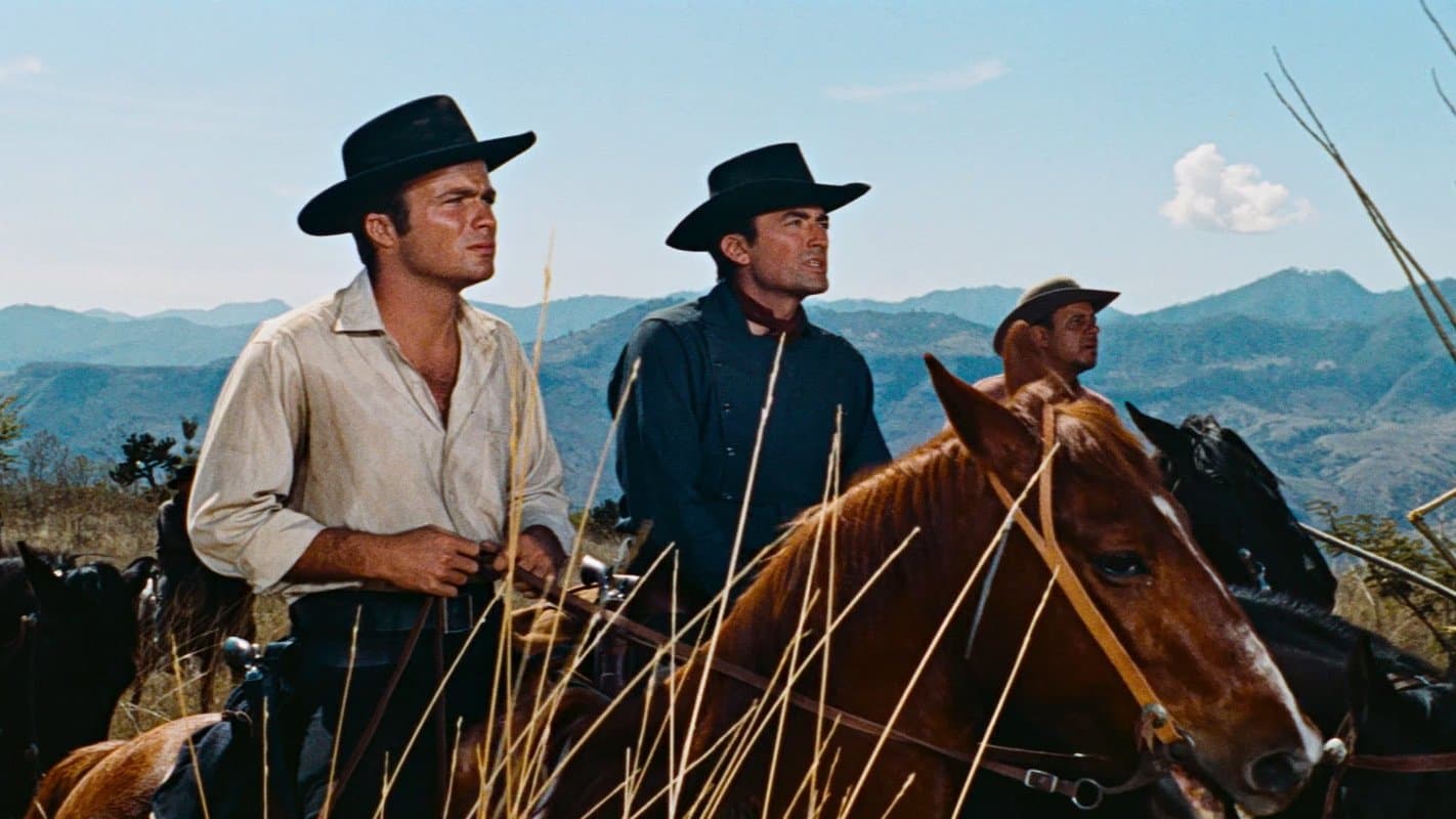 The Bravados backdrop