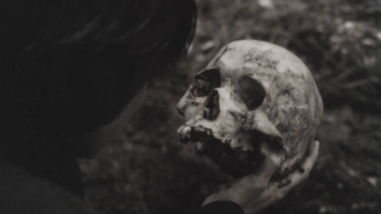 The Absence Of Filmmaker backdrop